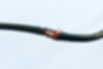 Exposed Wire with Rubber Insulator