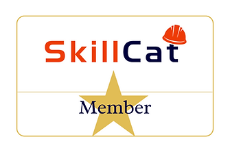 SkillCat (3).png