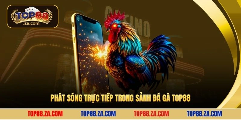 Phát sóng trực tiếp trong sảnh đá gà Top88